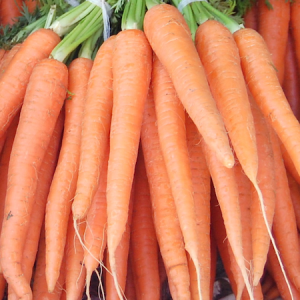 organic carrots delivered to your door