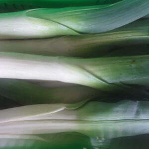 Organic Leeks