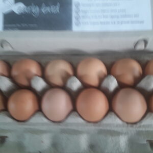 Organic Pasture Ranged pullet Eggs *medium**
