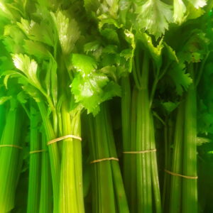 Organic Celery bundle