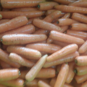 Organic carrots 600g